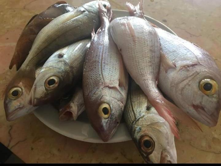 Seaview Pozo Izquierdo 빌라 외부 사진